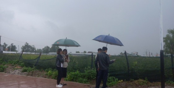 đầu xuân năm mới 2022 phát lôc  đầu năm cho người thiện chí   chiếc khấu  cao