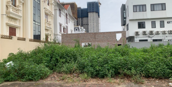 Bán rất gấp 247m đất khu M1 khu đấu giá 31ha Trâu Quỳ sát ngay gần quận ủy