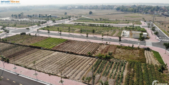 Bán 20 lô đất biệt thự đẹp nhất Cổ dDũng, Kim Thành, Hải Dương