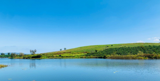 Vườn nhiệt đới bên hồ LA MAISON PREMIER