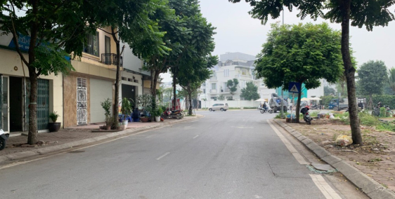 Bán lô góc 99,5 đất đấu giá Tầm Dâu, vỉa hè rộng, view vườn hoa, kinh doanh cafe