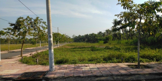 Bán gấp vài lô đất nền dịp tết GIÁ SỐC