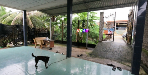 Nhà Cấp 4 Mặt tiền nhựa và 1 công đất làm vườn rộng rãi bán gấp!