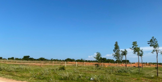 10,000m2 ở xã Hòa Thắng cách DT716 500m có đường trên sổ giá 1.2 tỷ