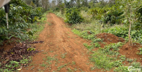 Đất Sào 3 Mặt Tiền Ngay Hồ Ea Nhái, Ngay Quốc Lộ 26 và đường HCM - Cuôr Đăng