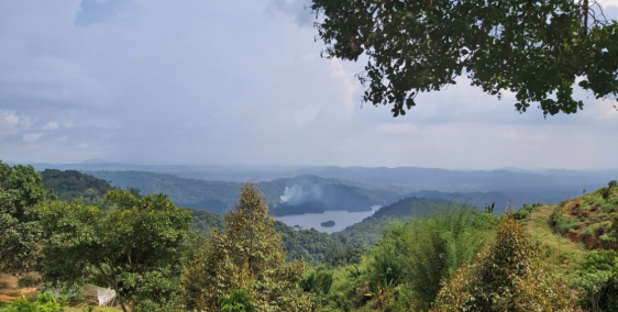 Bán đất vuòn   trang  trại   đất nông  thôn , nghỉ  dưỡng