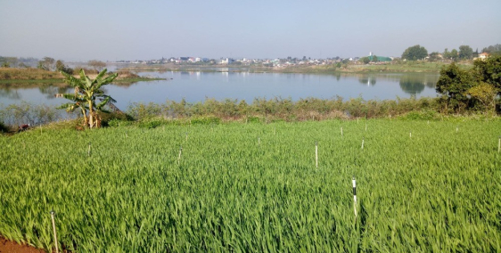 Bán đất lòng hồ Đại Ninh, view hồ đẹp, diện tích 3317m2