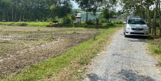 Đất vườn Củ Chi 2 lô liền kề 1000m2 giá rẻ 1ty235 SHR công chứng ngay