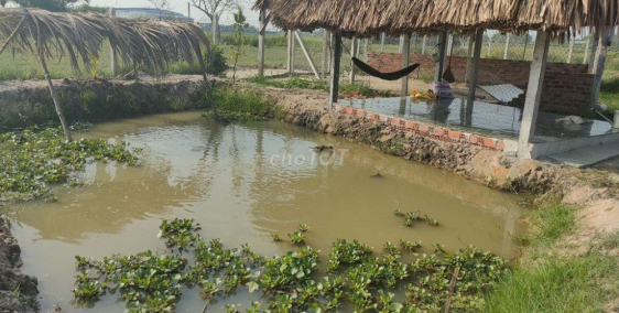 cần bán ĐẤT VƯỜN tại củ chi 500m2 -có SỔ HỒNG RIÊNG