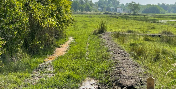 BÁN GẤP ĐẤT CHÍNH CHỦ TẠI CỦ CHI CÁCH TRUNG TÂM 40KM