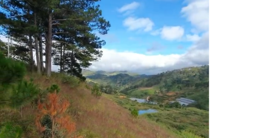 17 hecta đất trồng cây lâu năm tại Dasar - Lạc Dương,Lâm Đồng.