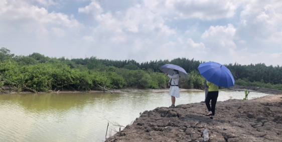 Đất vườn giá rẻ xã Vĩnh Thanh, khu nhà vườn hiện hữu, đường xe ô tô vào tận nơi