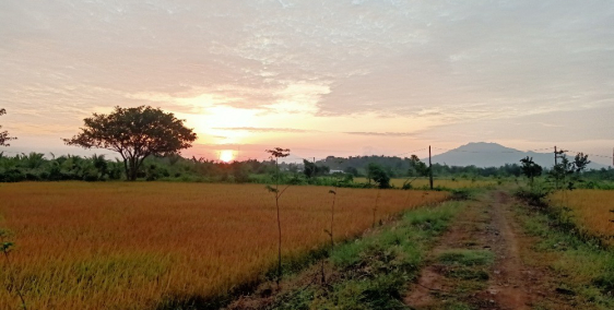 Trang trại hoặc khu nghỉ dưỡng