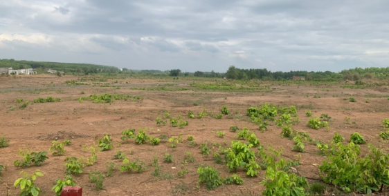 Chính chủ bán đất 2 mặt tiền đường ngang 23, ấp 7 xã Bàu Cạn - Long Thành.