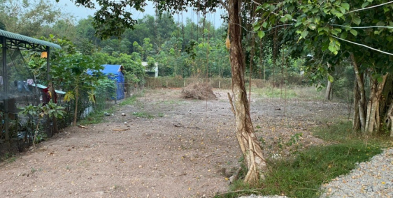 Bán đất Gia Bình Trảng Bàng Tây Ninh