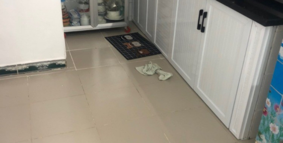 Định cư Mỹ chính chủ hạ giá bán gấp nhà hẻm đẹp Trần Hưng Đạo, Q1