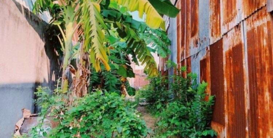 Bán đất mặt tiền đường 2/9 175m2 giá 5ty150