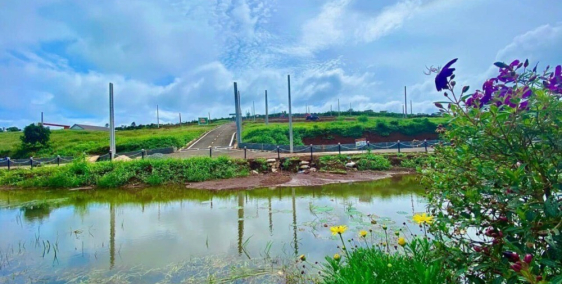 Happy Garden Bảo Lộc 7x15 giá chỉ 490tr/nền SHR trao tay