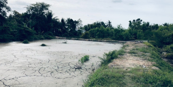 TRÀ VINH Bán 9 tỷ đất thổ 9999m2 mặt tiền quốc lộ 54  rẻ chỉ  800 ngàn m2,