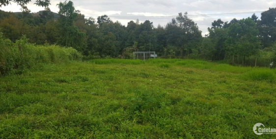 Cần bán 3400m2 đất madagui Lâm Đồng đã có sổ hồng, đường rộng 10m, suối