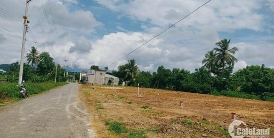 Bán Đất Diên Xuân Ngay Trung Tâm Xã Mặt Đường 12m ( QH16m)