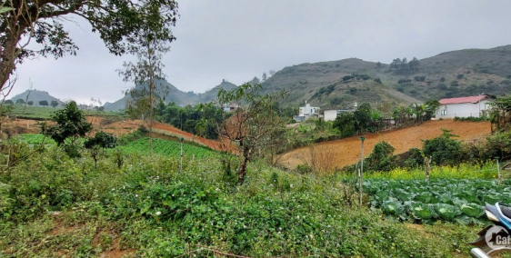 Bán đất Mộc Châu 3000m2 400m2 TC tại Mường Sang