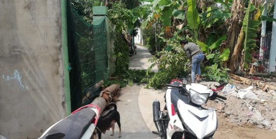 bán Đất long hòa A xả đạo thạnh tp mỹ tho, TG