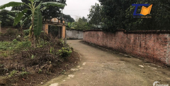 Cần bán đất 808m2 Cổ Đông Sơn Tây Hà Nội giá cực rẻ LH: A Tiến