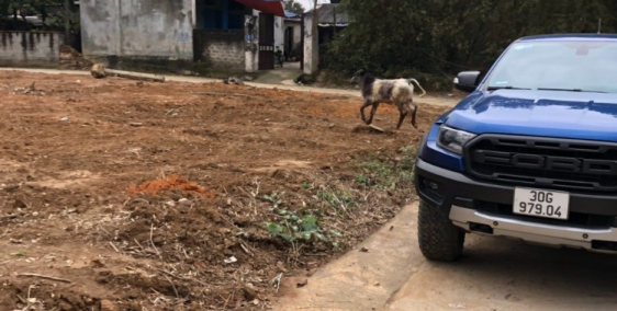 Đầu năm mua đất- cuối năm thu LÃI -sổ đỏ Hà Nội DT 460m giá 4,2tr.