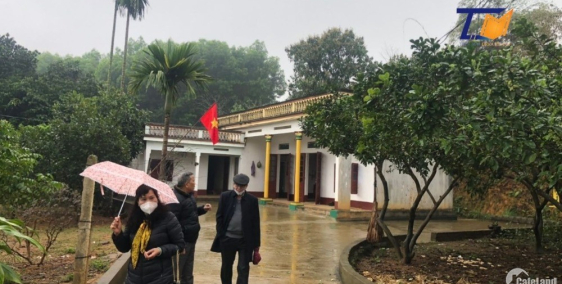 Quá tuyệt vời cần bán đất Thanh Sơn Phú Thọ 2000m2 View đẹp giá rẻ bất ngờ