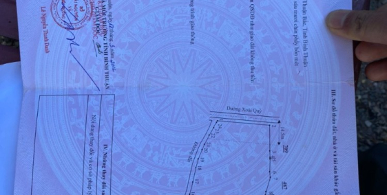 2000M2 - Mặt tiền đường nhựa Xoài Quỳ -  Lô Gốc 2MT đường Nhựa và Đường Bê Tông