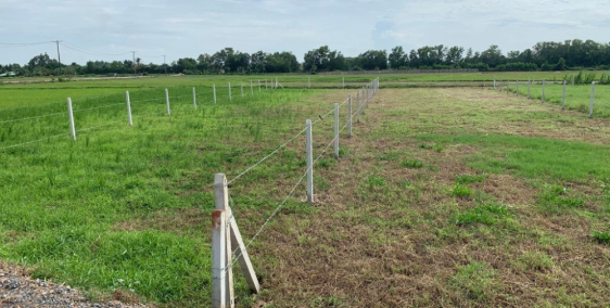 Đất vườn Củ Chi 620m2 giá 1ty500 thương lượng , sổ hồng riêng bao thuế phí sang