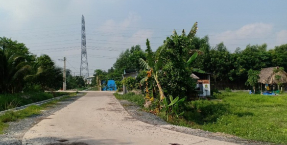 Đất vườn củ chi 1500m2 2ty4 mặt tiền đường bê tông 12m, sổ hồng riêng