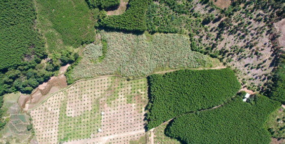 Cần bán đất vườn khánh vĩnh giá rẻ