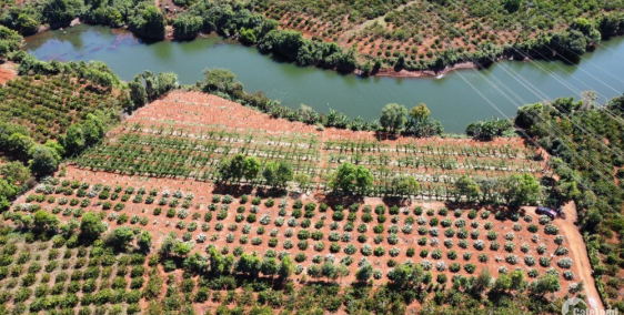 Đất ôm hồ 120m xã Ia Hrung 8800m2 giá 1,1 tỷ