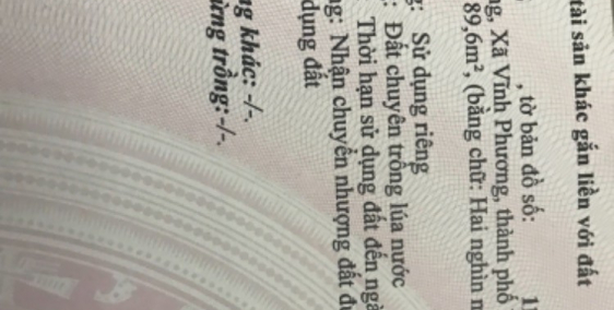 Đất ruộng 2043m2 tại Vĩnh Phương Nha Trang Khánh Hoà