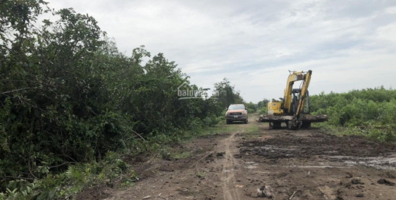 Lô đất vườn CHÍNH CHỦ 1000m2 1ty5