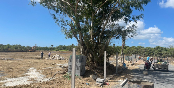 Đất Bình Châu ven biể tặng vườn cây ăn trái