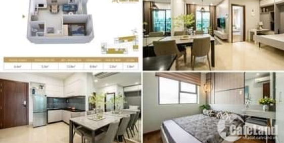 legacy central căn hộ cao cấp 1 pn diện tích 33m2 , nằm giữa trung tâm thành phố