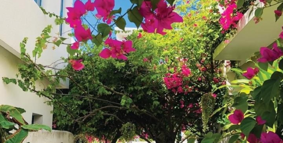 Bán biêt thự mặt biển Cam Ranh Bay sổ lâu dài,full nội thất,LS 0%. 0975674862