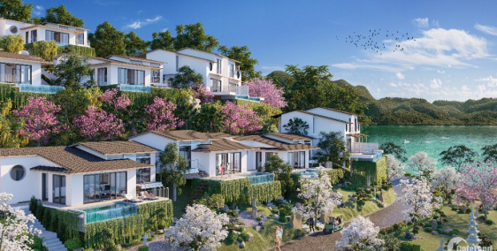 Biệt thự view hồ dự án Takara Hòa Bình