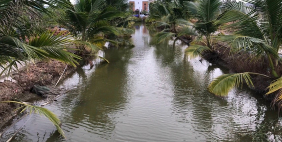 Bán nhà và đất 9 tỷ, liên hệ chính chủ 0832701386