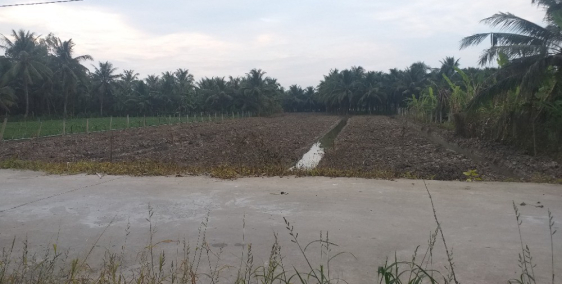 Đất nền + đất vườn giá rẻ dành cho địa cư, đầu tư và kinh doanh.