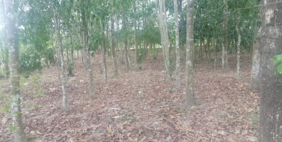 chính chủ cần bán mảnh đất siêu đẹp mặt tiền nhiều