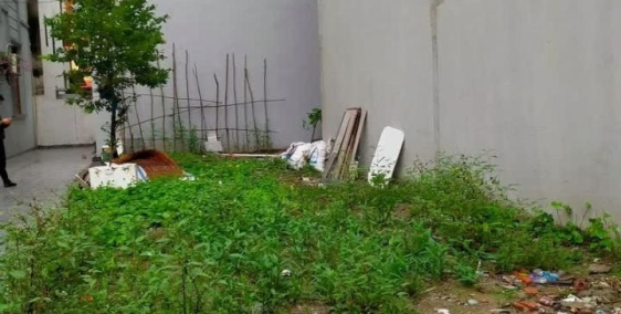 Đất phân lô Lý Sơn, Đức Giang, Ô tô tránh - Ô tô vào nhà, DT 95m2, MT 5.6m, giá