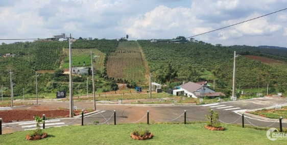 CHIẾT KHẤU CAO - ĐẤT NỀN - TP. BẢO LỘC