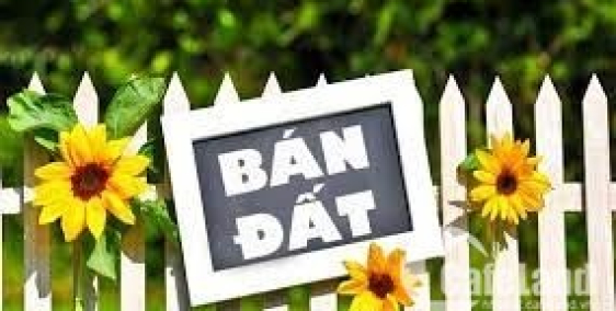 Bán đất Phố Kim Mã, Ba Đình, 250m² đất thổ cư, măt tiền 15m, chia lô, xây CCMN