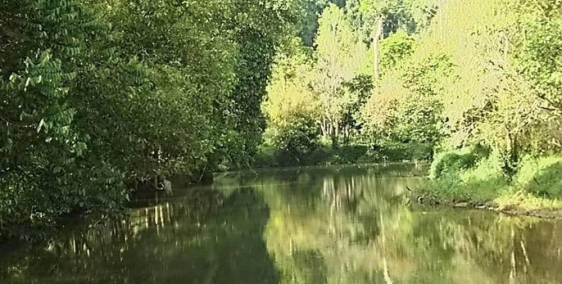 Bán gấp mảnh đất 558,8m2 view sông Đại Nga, cách dự án Golden City chỉ 5km