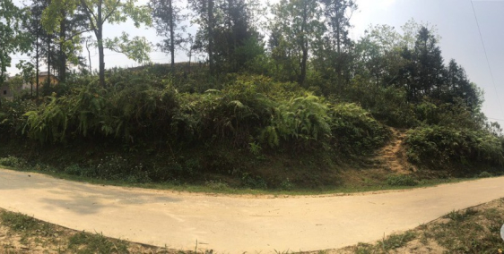 Bán đất SaPa2, Y Tý DT 579m2 mặt tiền siêu rộng 40m