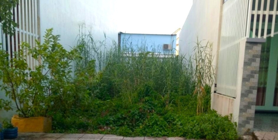 Bán gấp đất MT Ng Văn Hoa 900 triệu/75m2 gần trường CĐ KT Đồng Nai